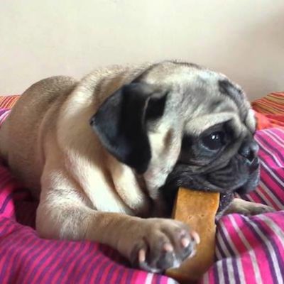 Churpi Durka Package 3