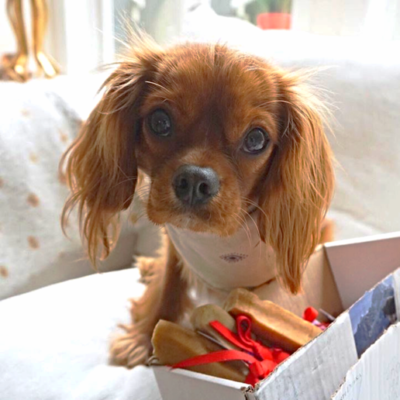 Churpi Durka Package 1